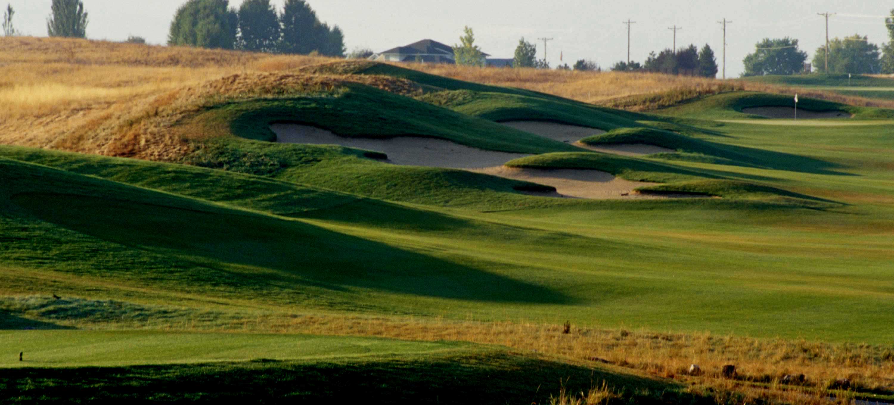 golf course Image